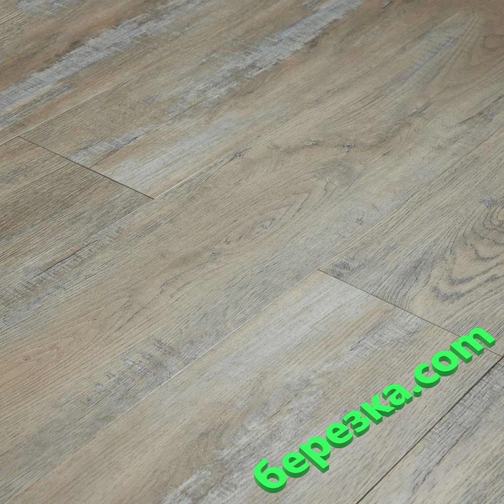 TORINO T1804 Botas