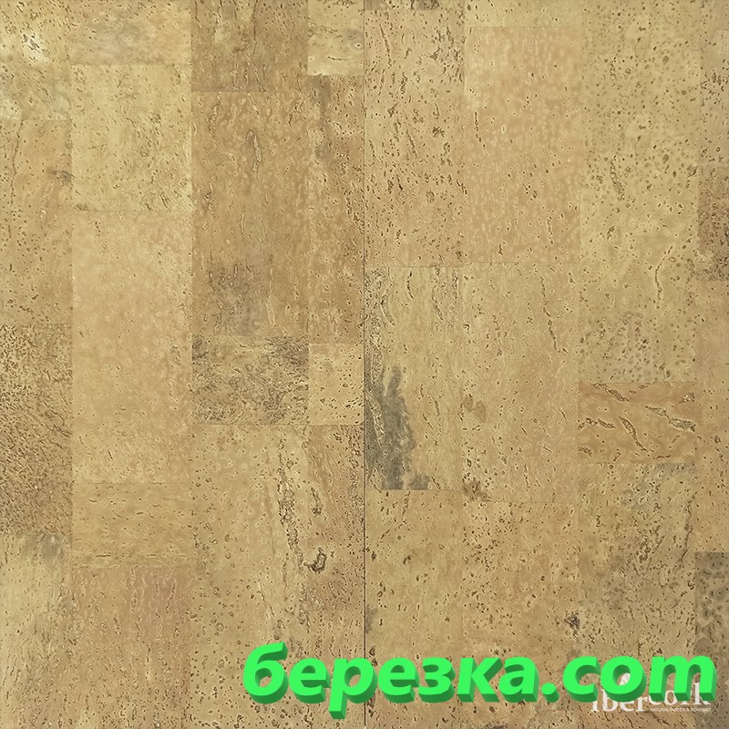 TDB ICG/EU Саламанка 4 SG 495-44 — изображение 2