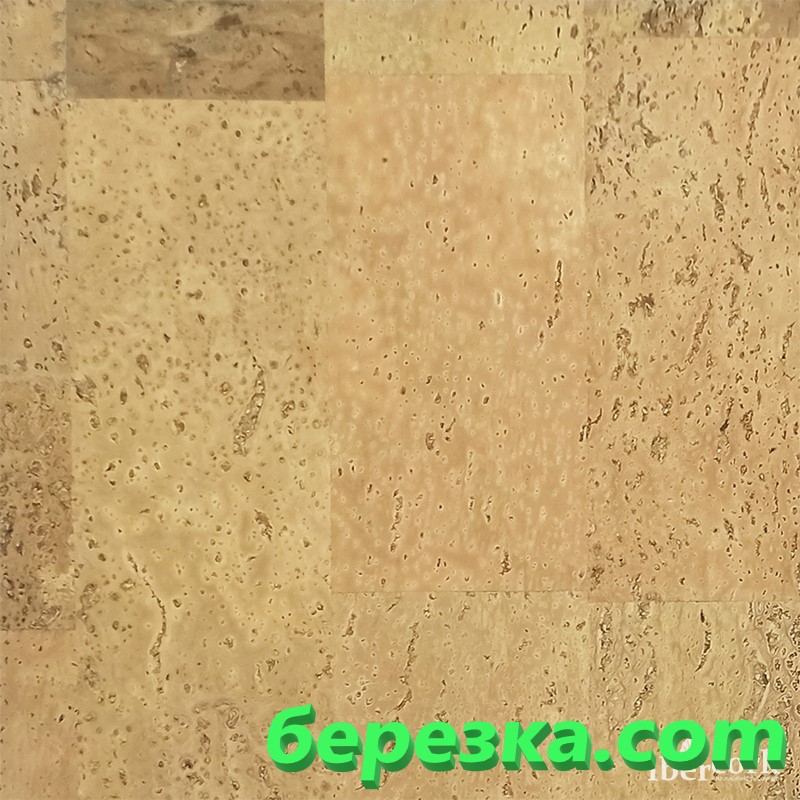 TDB ICG/EU Саламанка 4 SG 495-44 — изображение 3