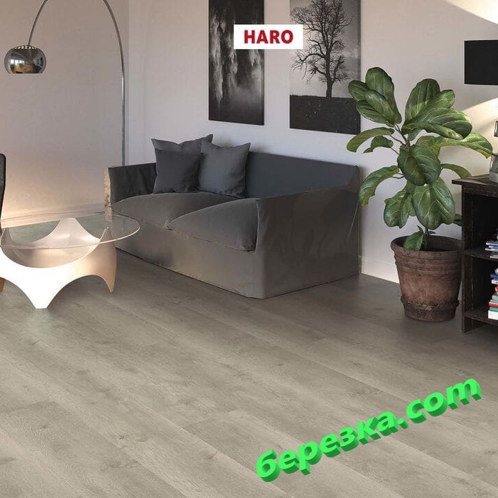 Ламинат Haro Tritty 100 Gran Via 4V Дуб Бергамо Серебрянно-Серый — изображение 3