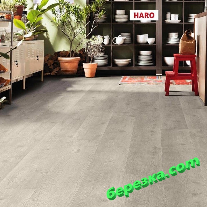 Ламинат Haro Tritty 100 Gran Via 4V Дуб Бергамо Серебрянно-Серый — изображение 4