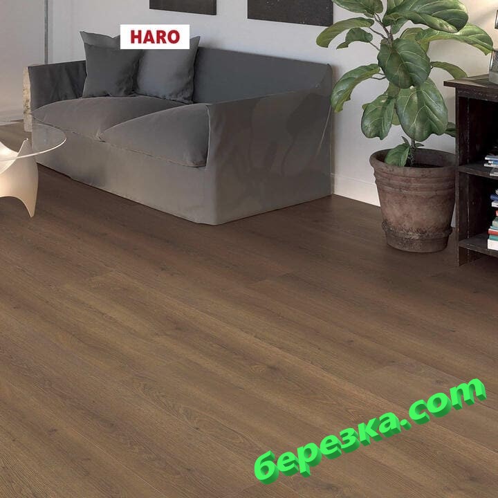 Ламинат Haro Tritty 100 Gran Via 4V Дуб Флавия Дымчатый — изображение 3